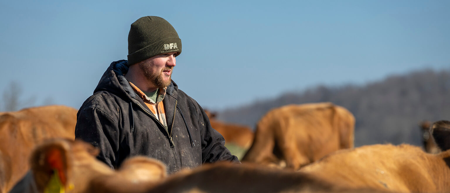 The latest in dairy news